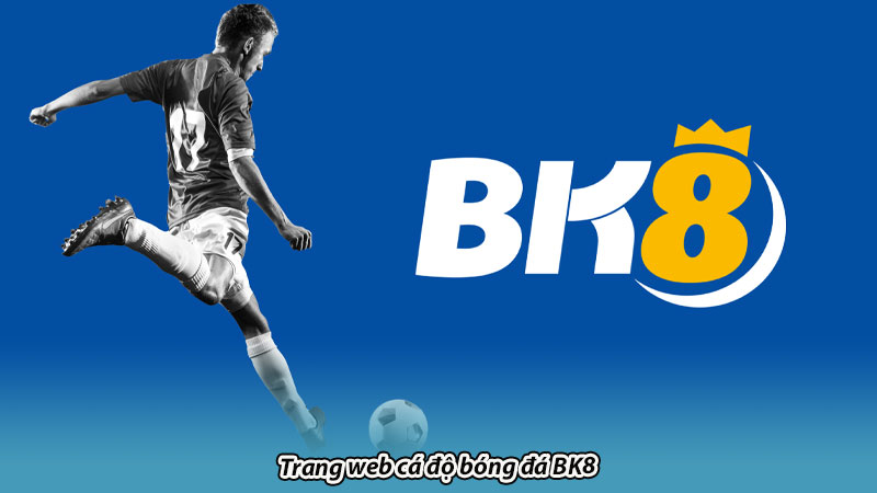 Trang web cá độ bóng đá BK8